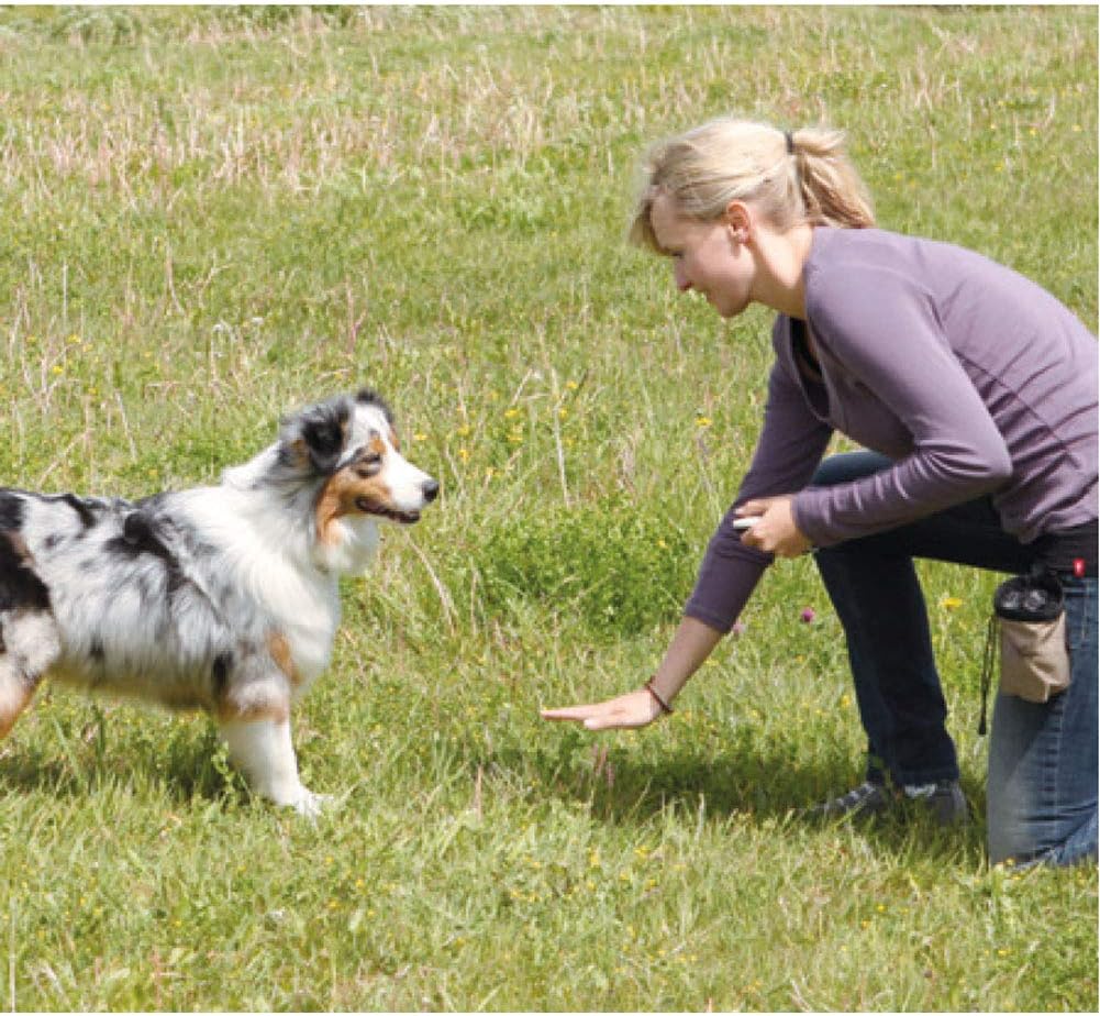 VOBRAMY Dog Training Clicker with Wrist Strap Durable Lightweight