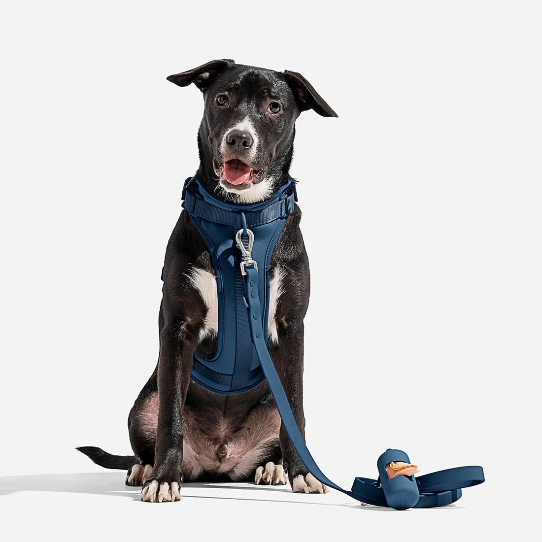 Wild One Dog Harness, The Original No-Pull, Pet Harness Size L