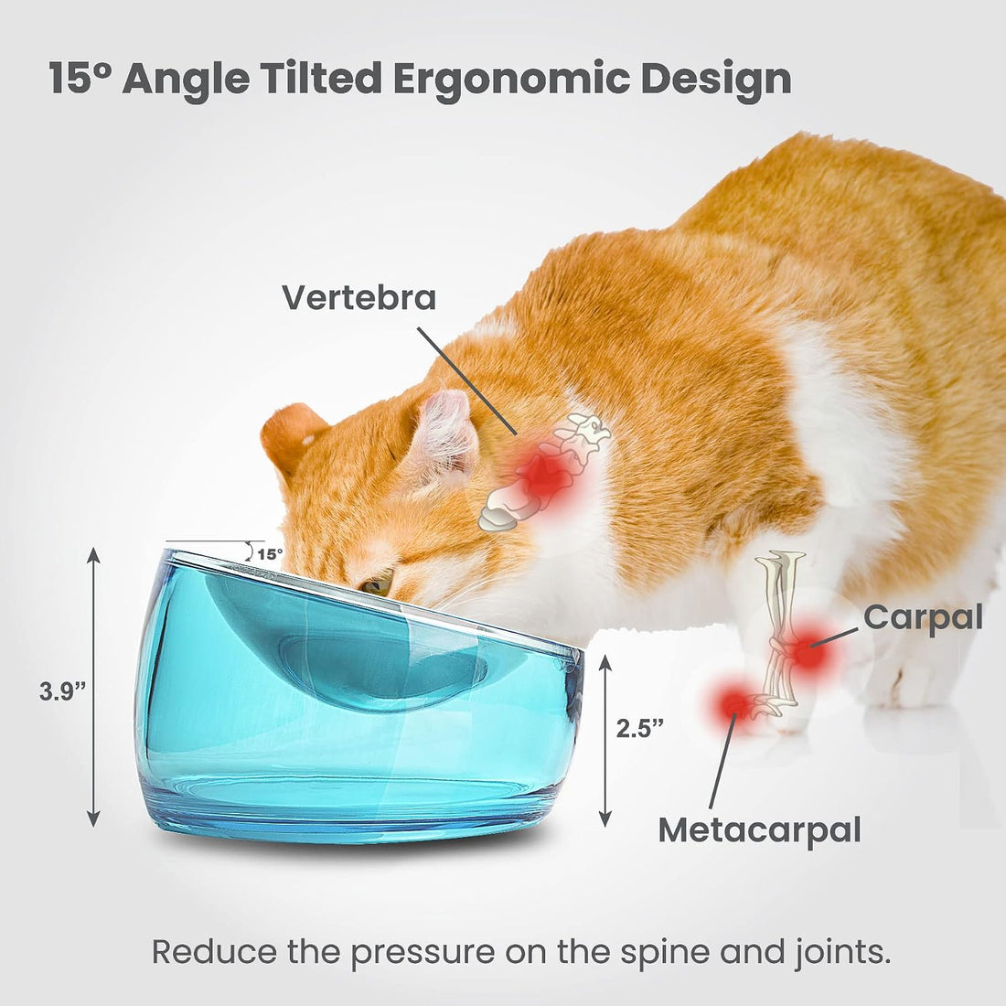 Felli Pet Oblik Whisker Fatigue Cat Food Bowl Raised Stainless Steel