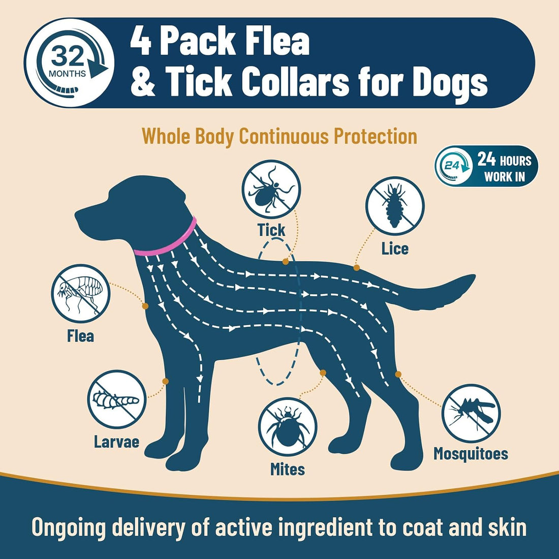 4 Pack Flea Collar for Dogs, 32 Months Flea and Tick Prevention
