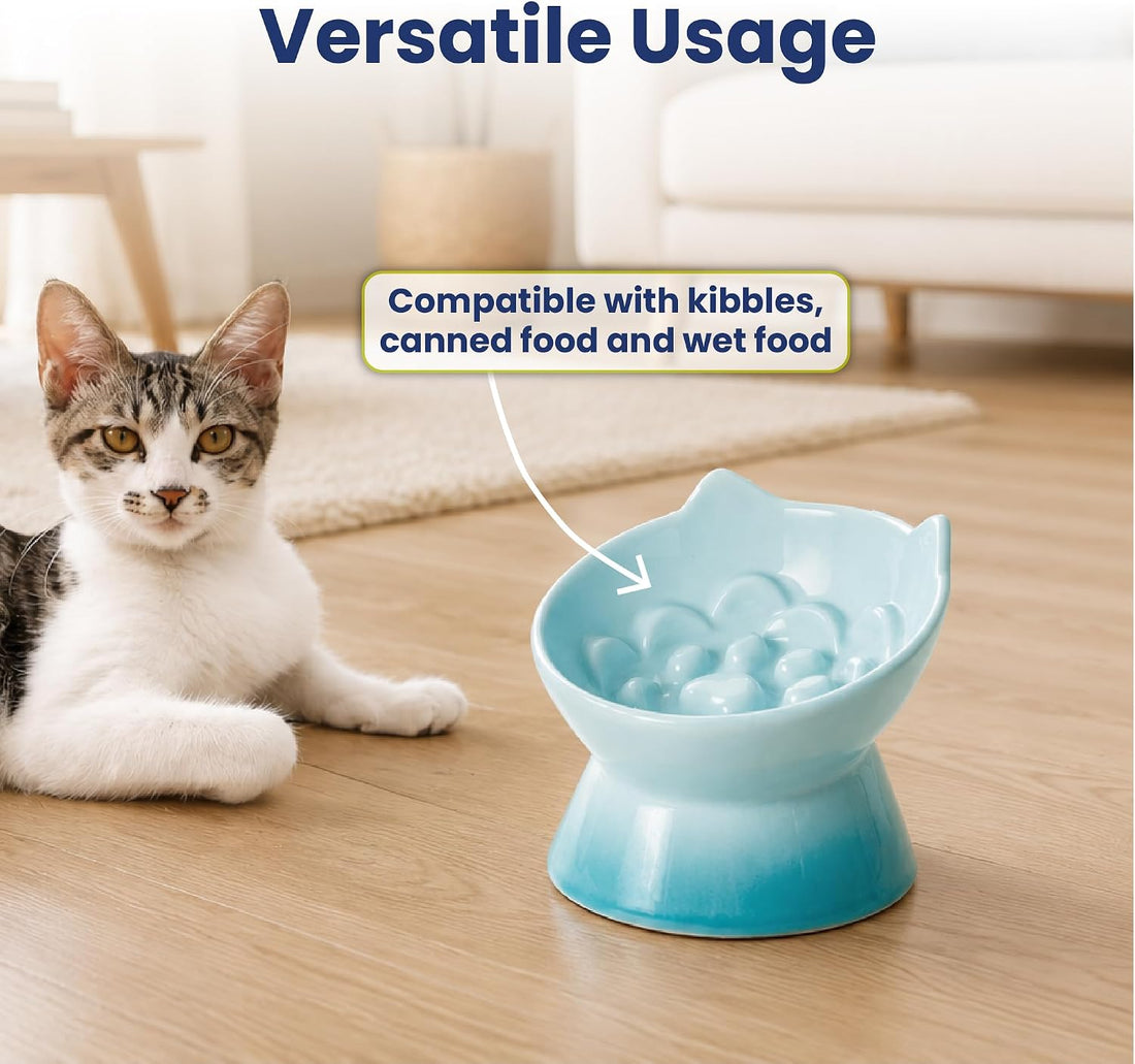 PawsPik Lynx Ceramic Raised Slow Dog & Cat Elevated Food Bowl