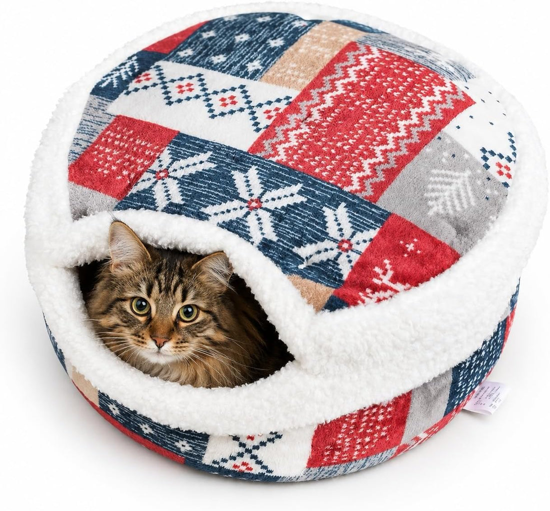 Cat Bed Cave - Enclosed Hideaway with Detachable Lid for Kitten
