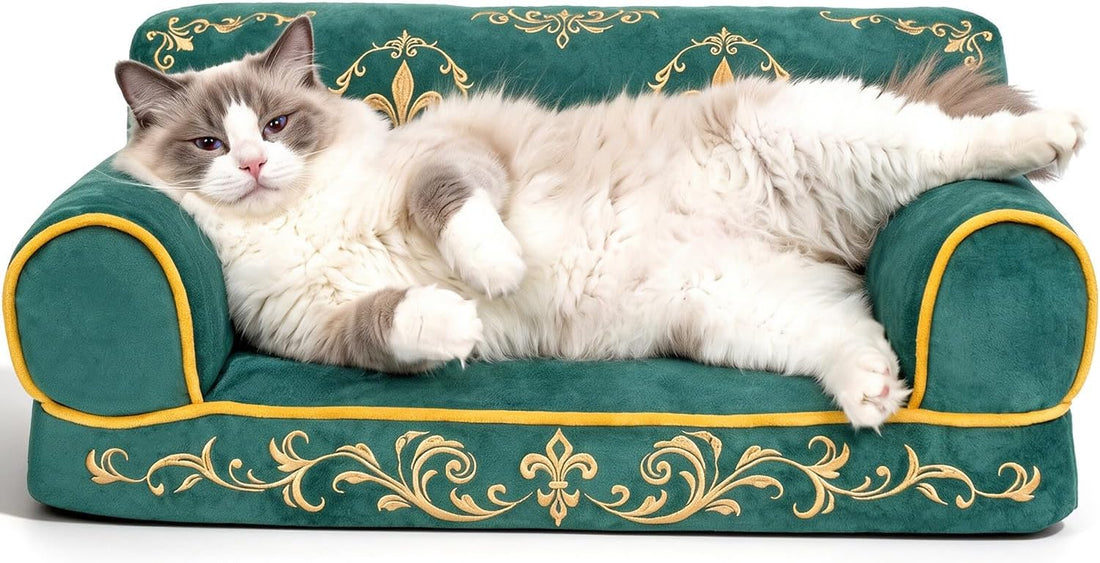 Indoor Cat Couch Bed, Soft Supportive Pet Sofa, 24in