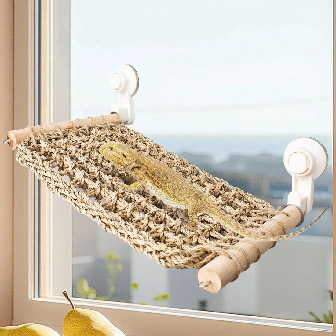 FlidRunest 21.6 x 7.8 in Seagrass Bearded Dragon Hammock for Window