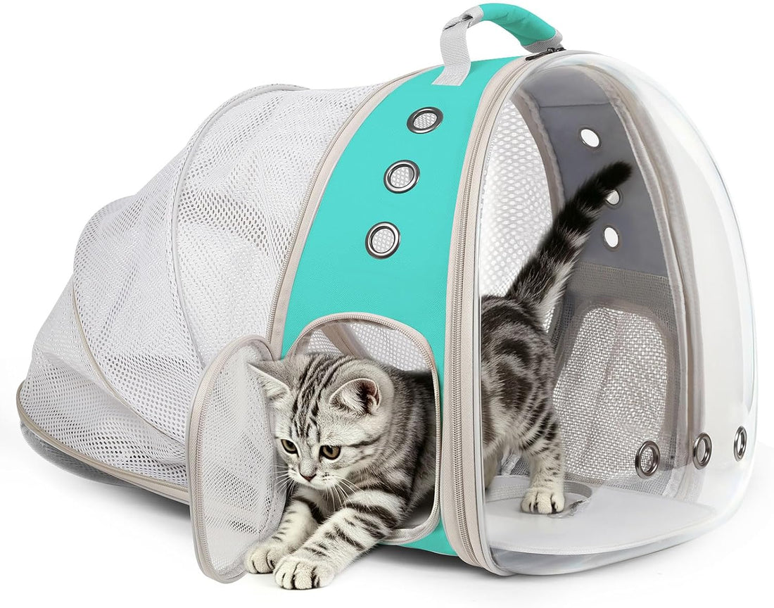 Back Extension Cat Travel Carrier Backpack