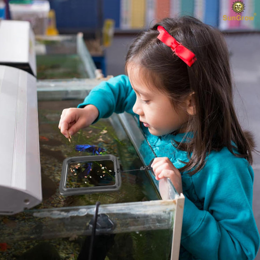 SunGrow Fish Food Feeding Ring