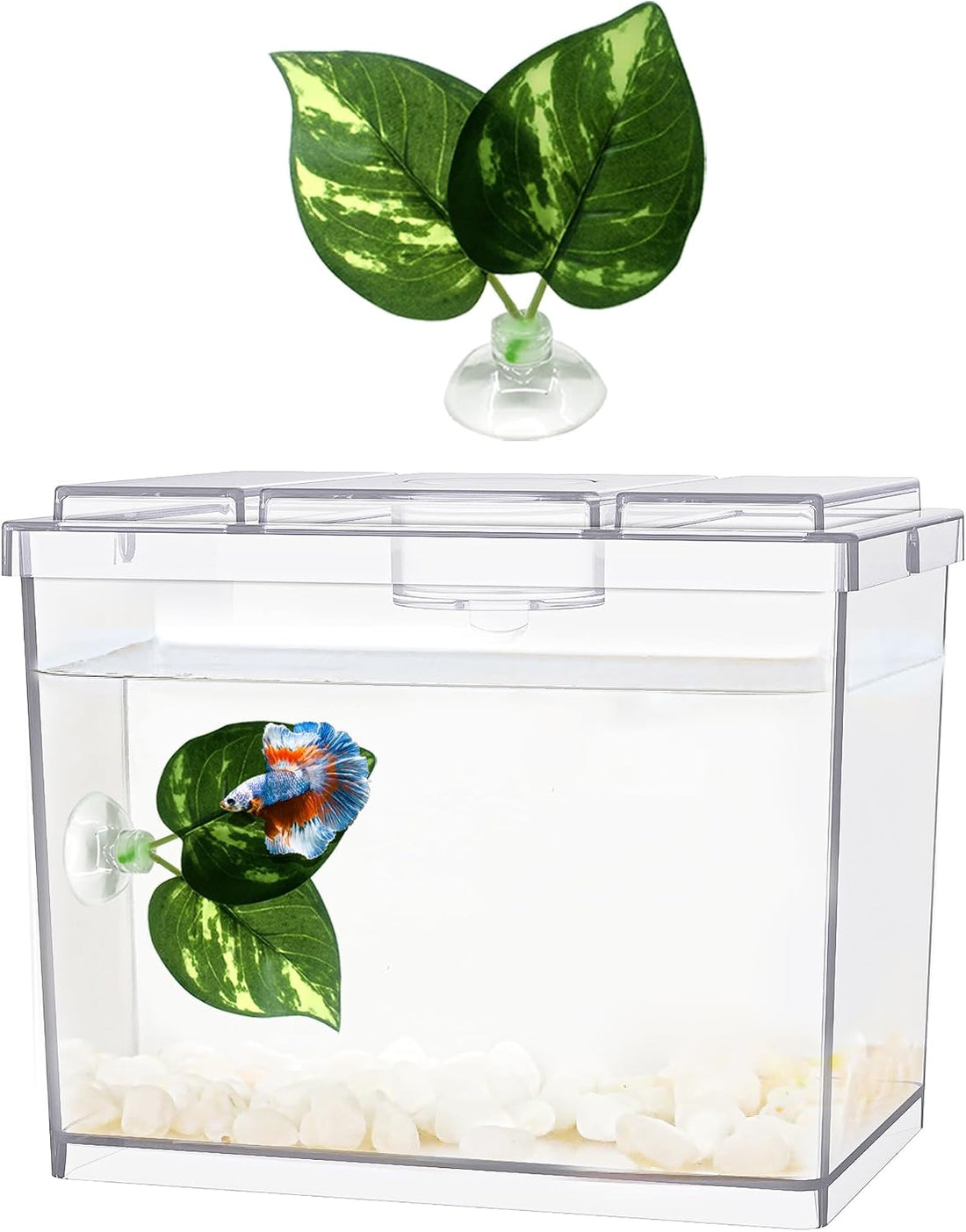 MoonOrange Mini Betta Fish Tank Kit with LED Light Base
