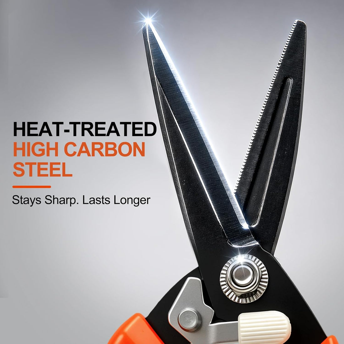 Goat Hoof Trimmers, Sheep Hoof Trimmers