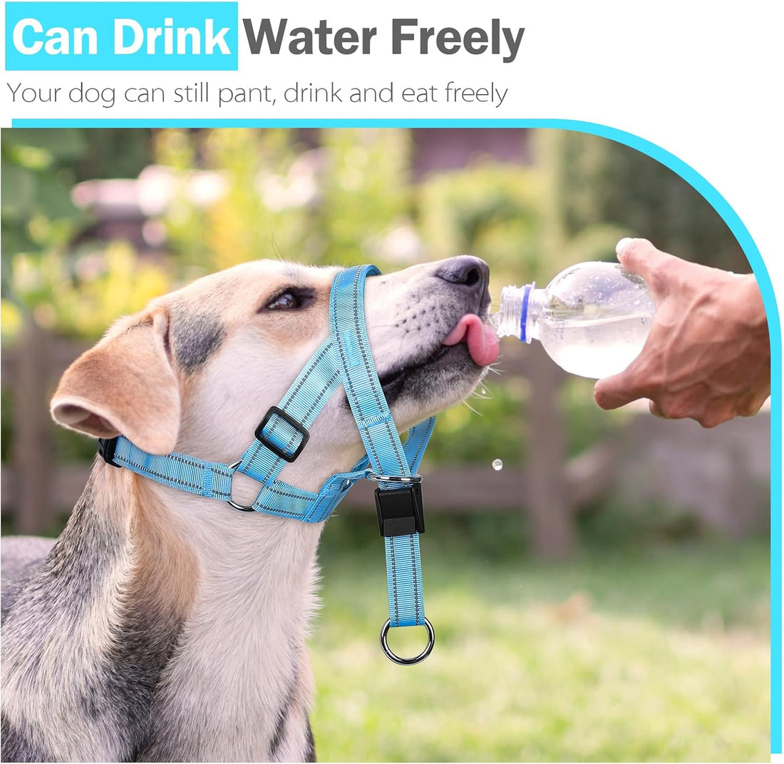 Weesiber No-Pull Dog Head Collar