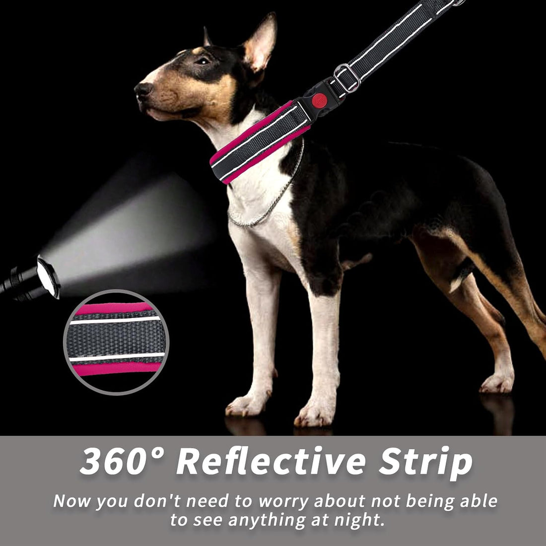 Martingale No Pull Dog Collar for Large Medium Small Dogs