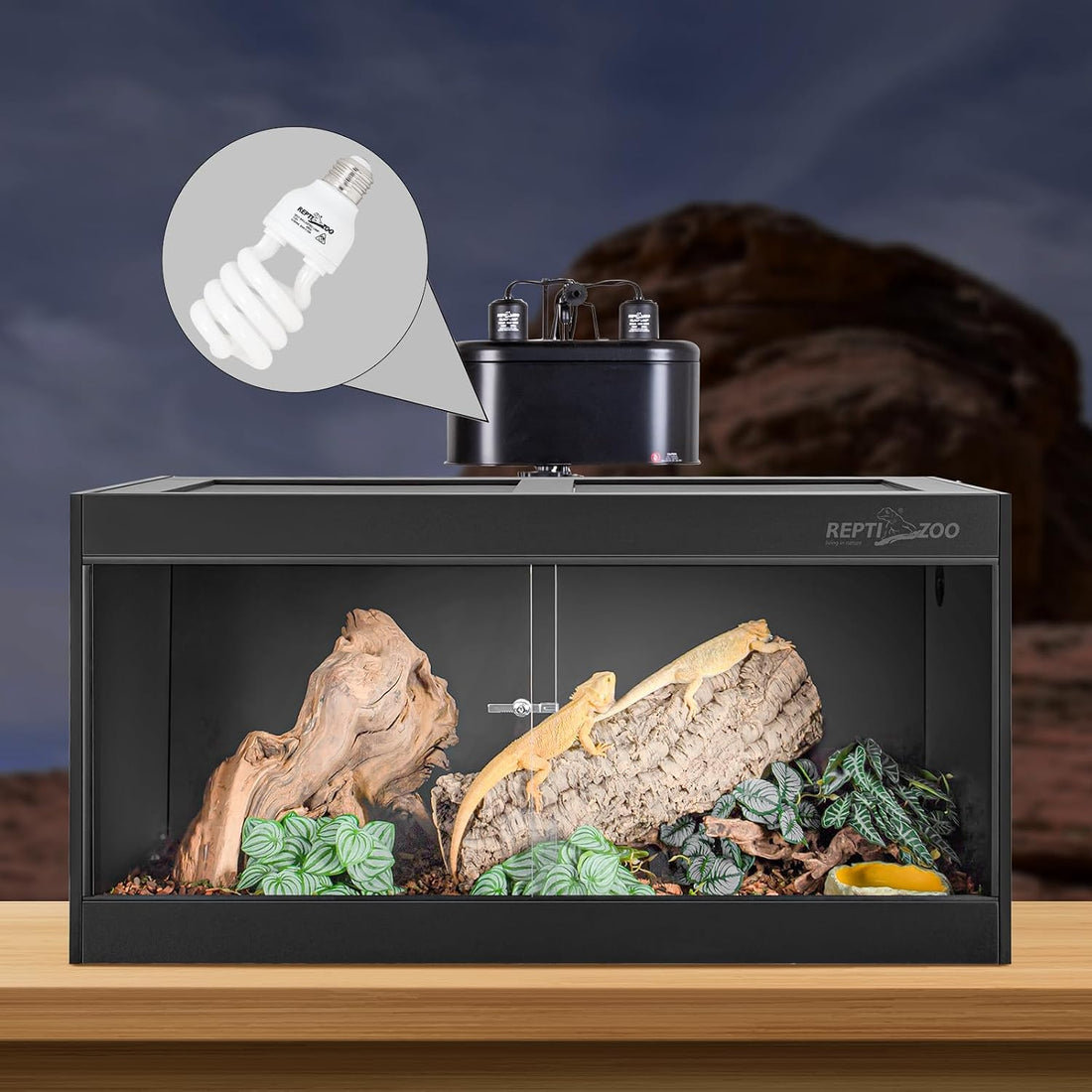 REPTI ZOO UVB Light for Desert Reptile 2 Pack