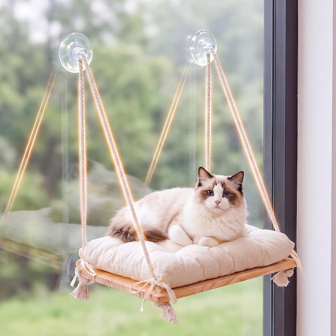 Cat Window Perch Hammock with Upgraded 4 Suction Cups Soft Cushion