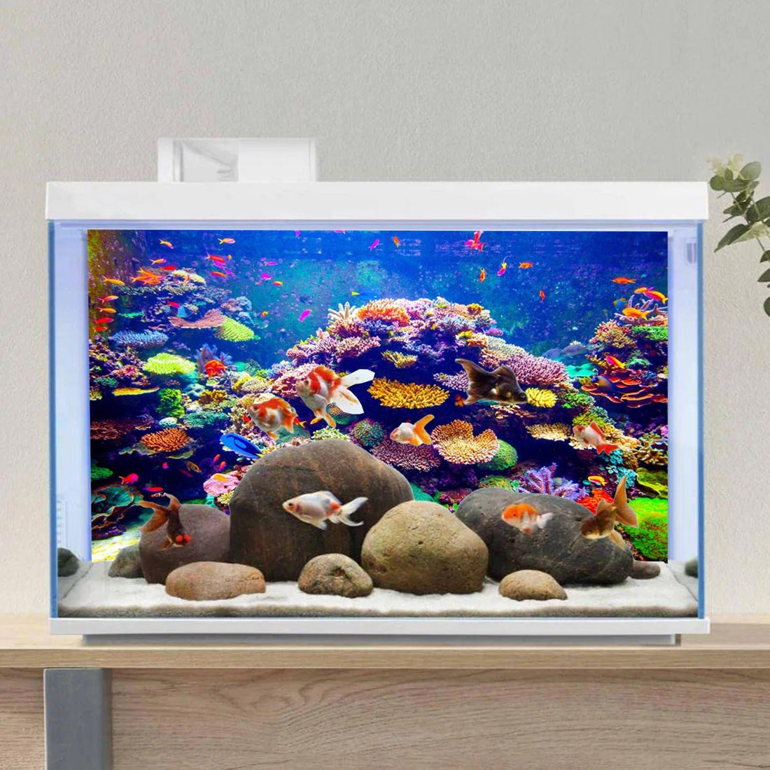 Undersea Aquarium Background 24x12 in Coral Tropical Fish Tank