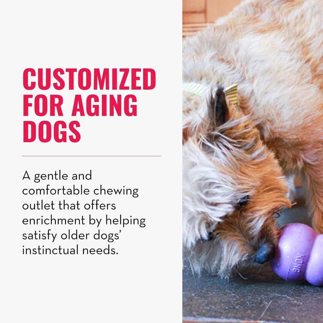 KONG Senior - Dog Toy with Gentle, Natural Rubber