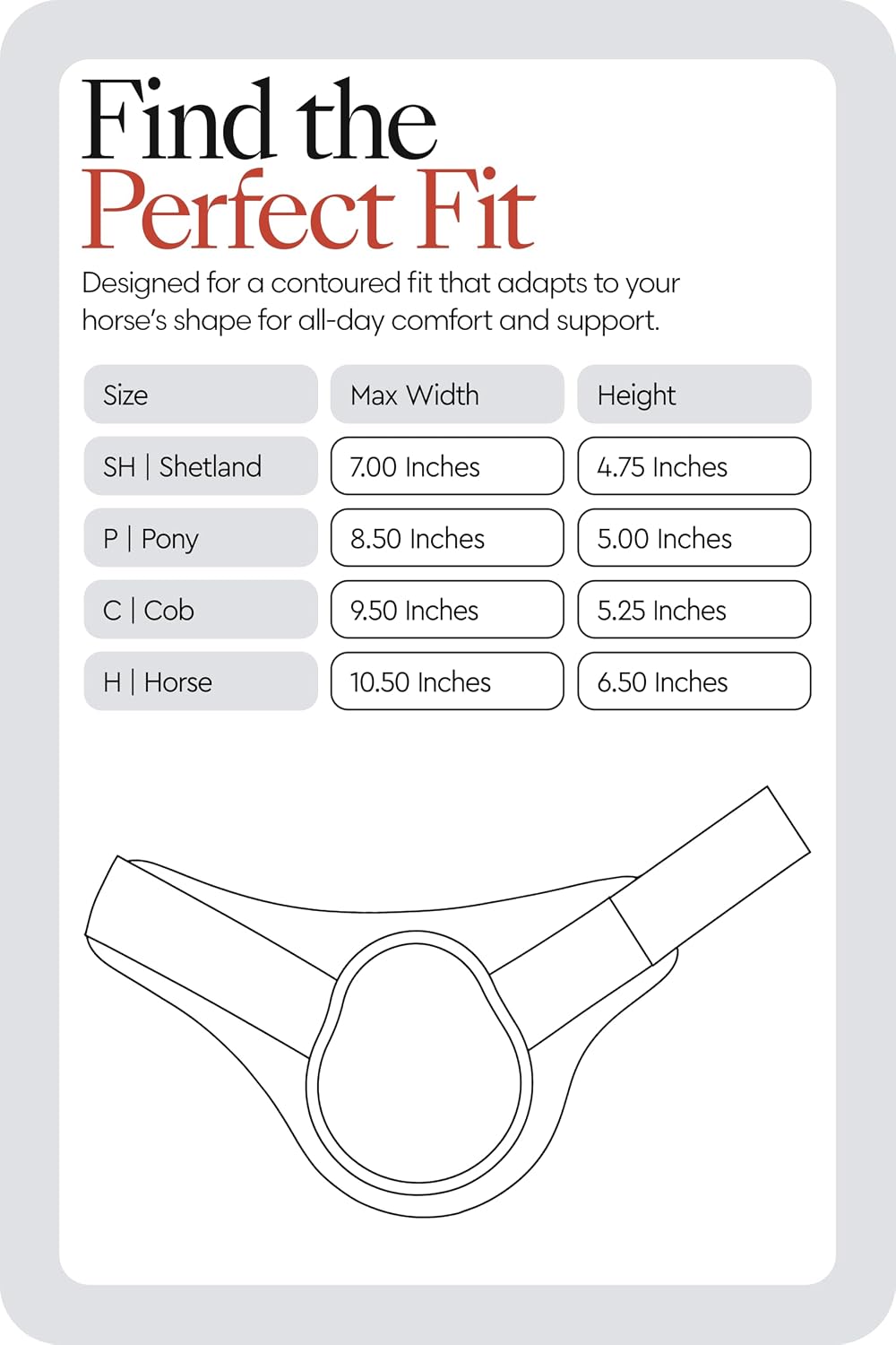 HORZE Chicago Rear Fetlock Boots for Horses, Horse Tendon Boots