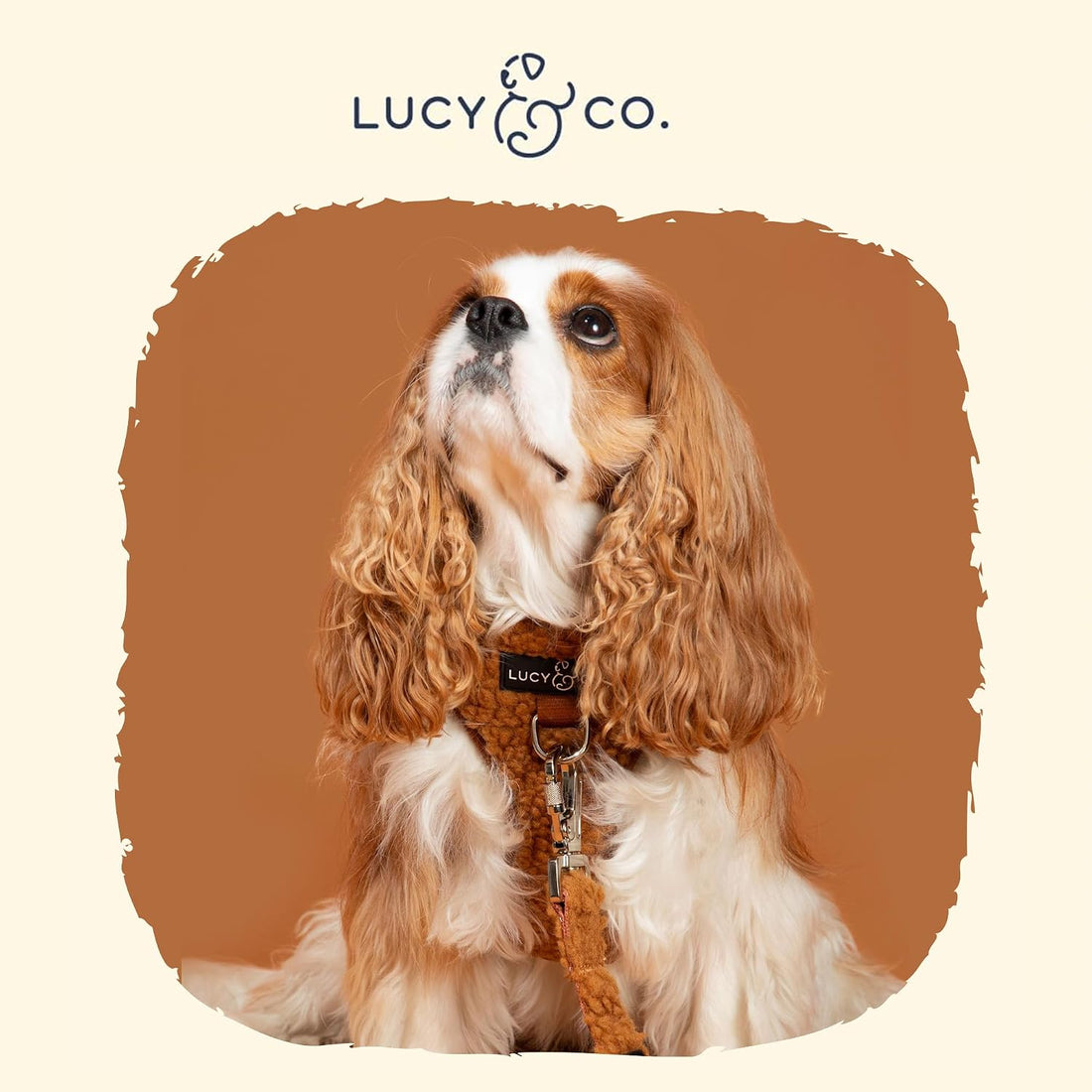 Lucy & Co. Cute No-Pull Cinnamon Teddy Harness