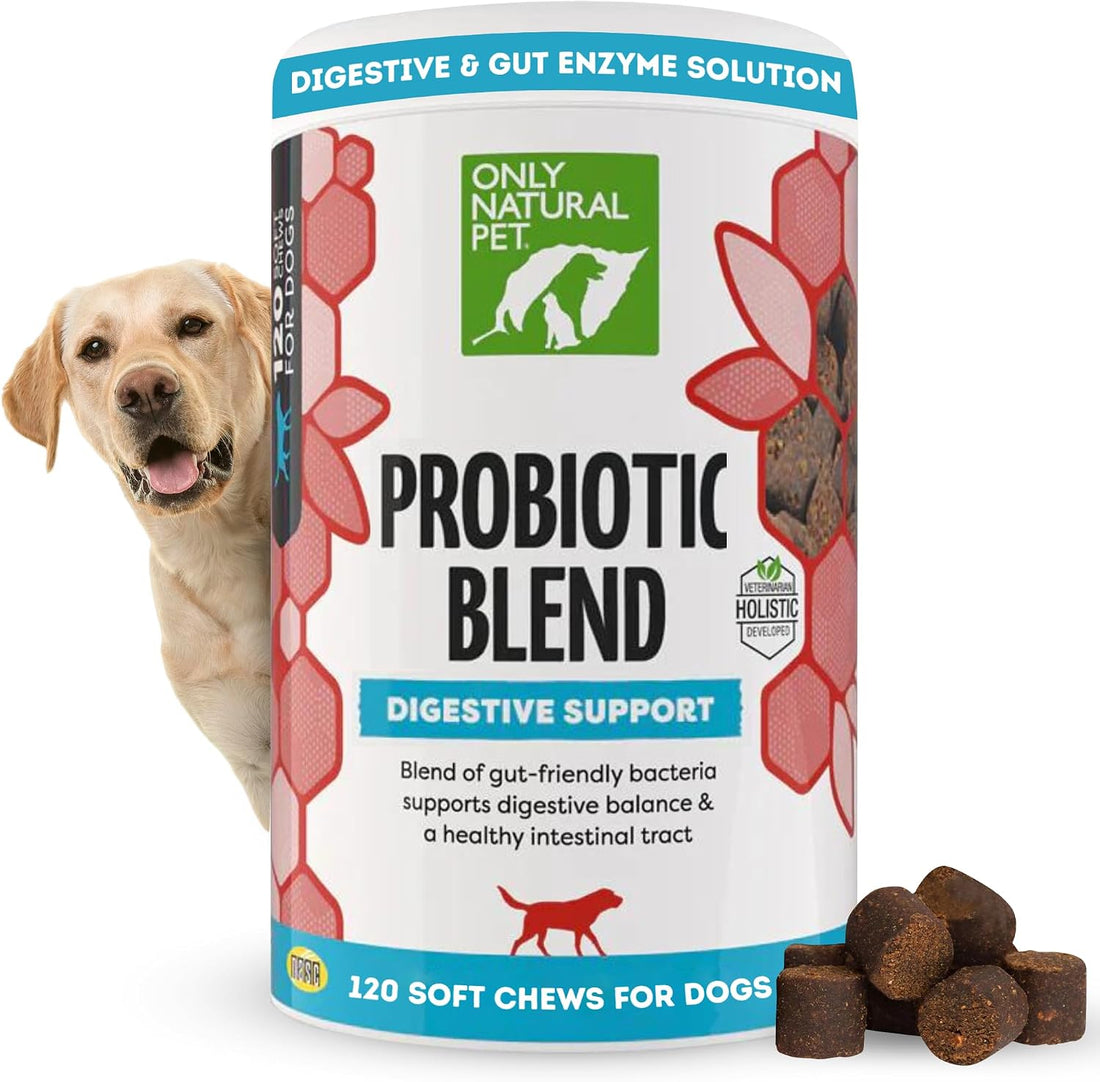 Only Natural Pet Probiotic Dog and Cat Supplement, Soft Chews