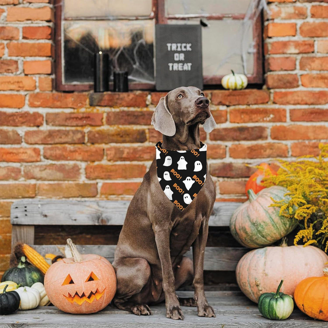 Halloween Dog Bandana Ghost Boo Scarf for Small Medium Large Dogs