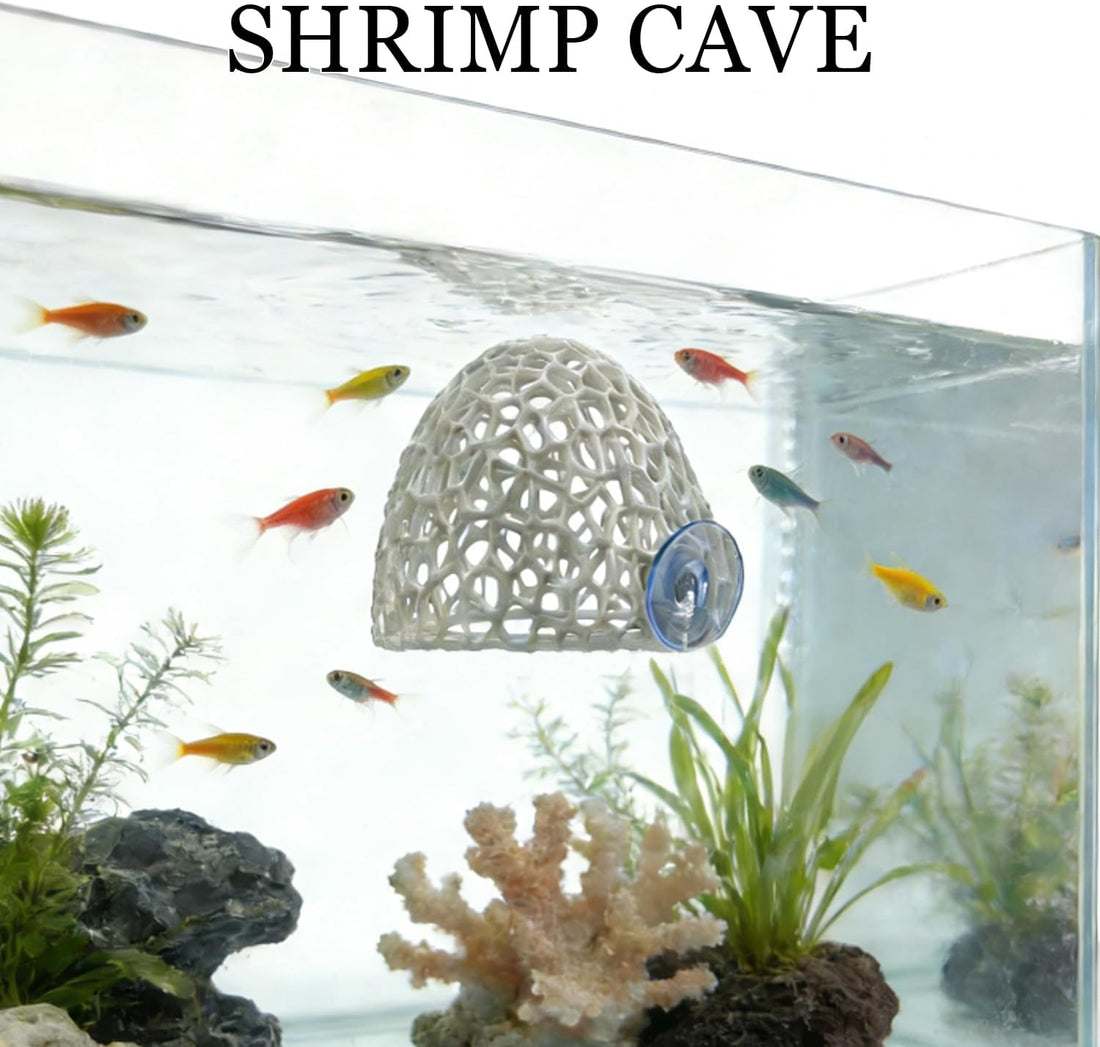 Shrimp Cave with Suction Cup