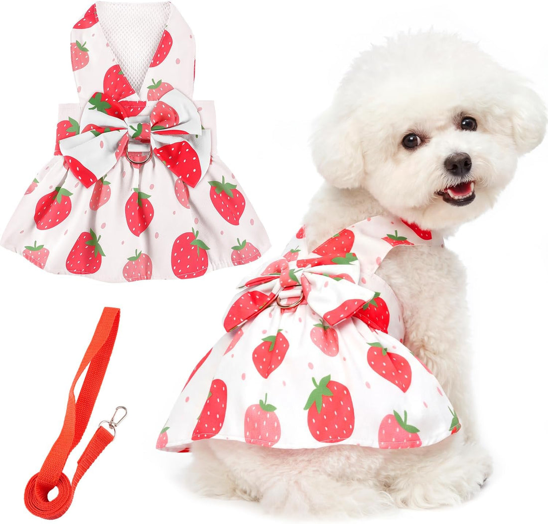 Dog Dress Harness Dresses Leash Set for Small Dogs Cute Girl Dog
