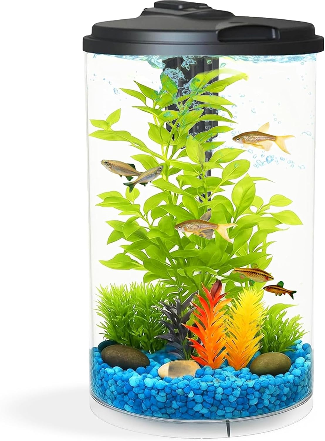 Koller Products AquaView 3-Gallon 360 Aquarium with LED Lighting