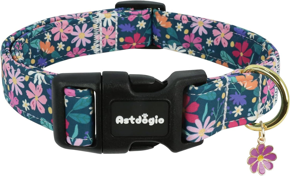 Medium Dog Collars for Male Dogs