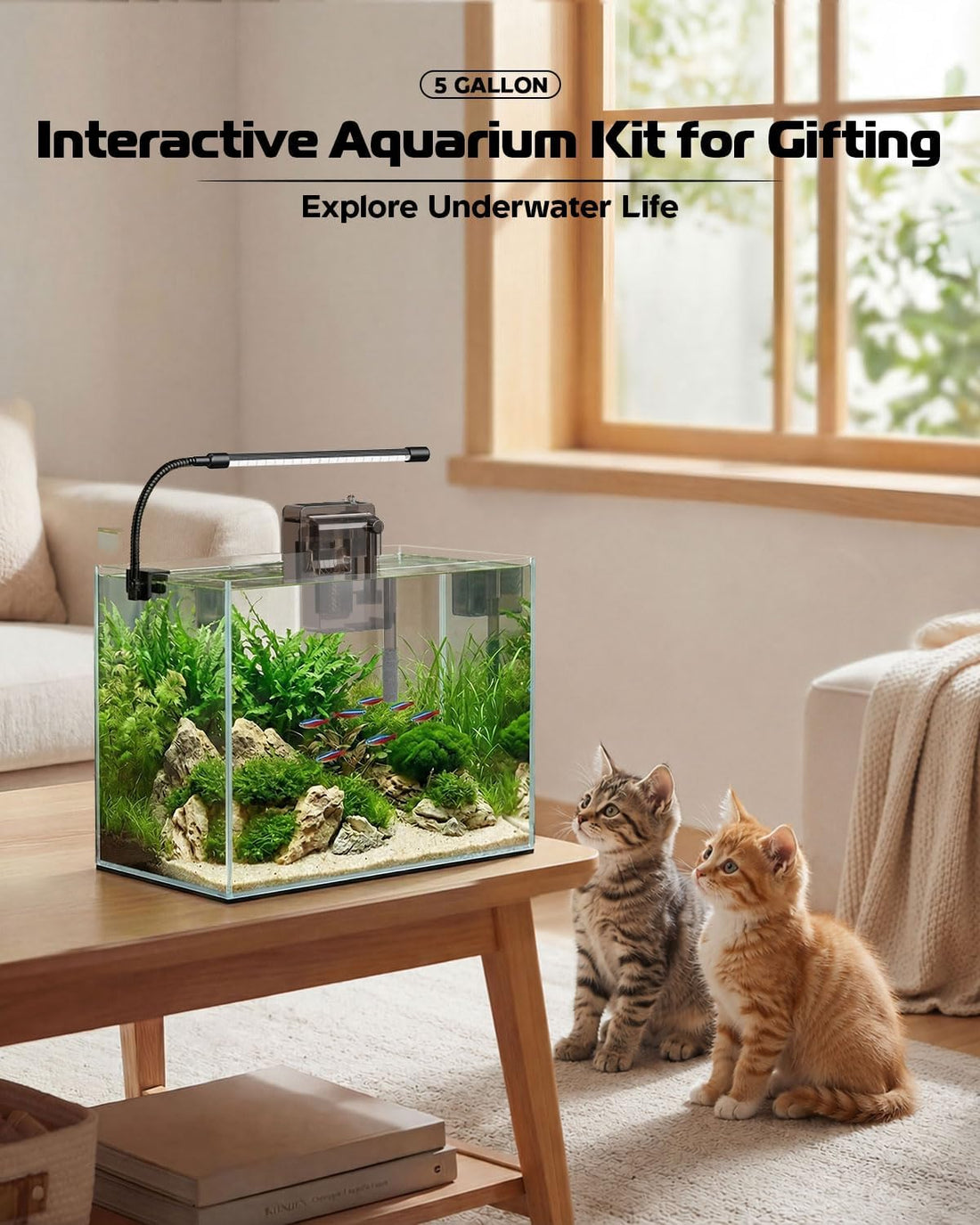 5 Gallon Glass Aquarium Starter Kit, Rimless Fish Tank