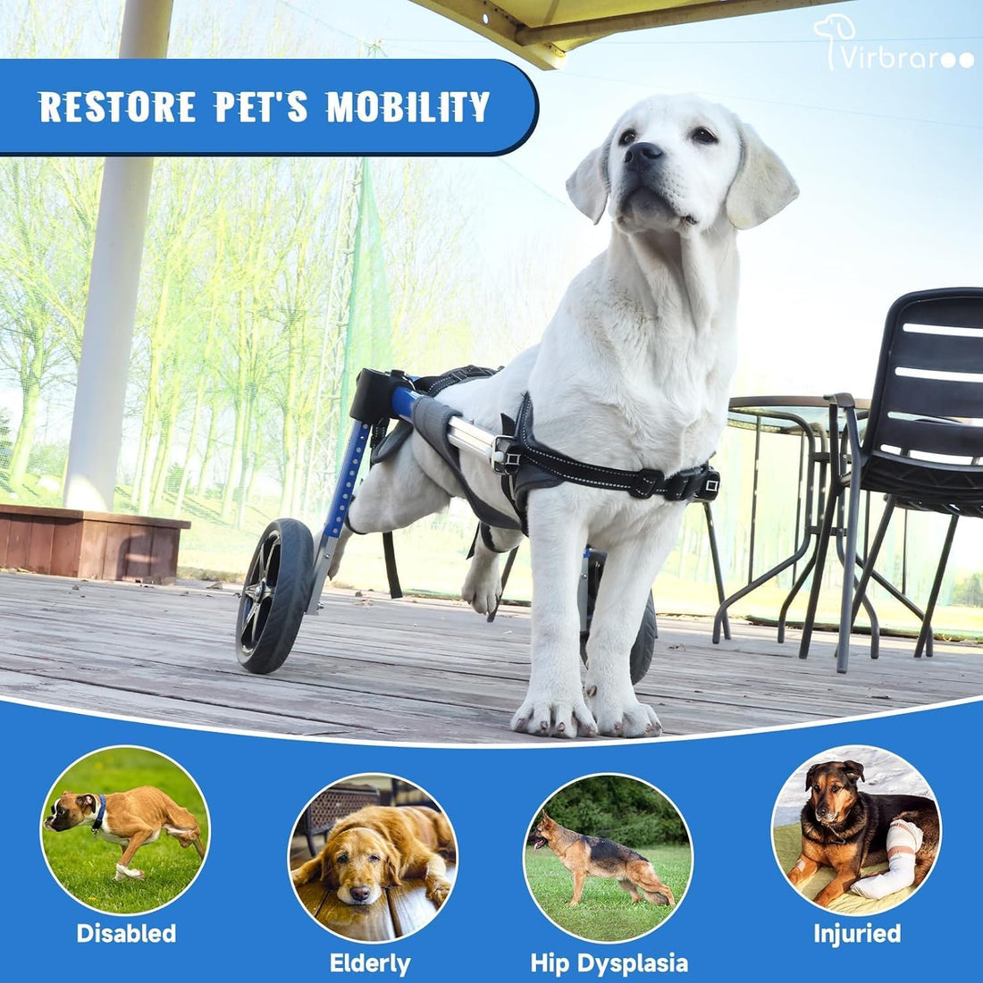 Dog Wheelchair for Back Legs with Upgraded All-Terrain Tires