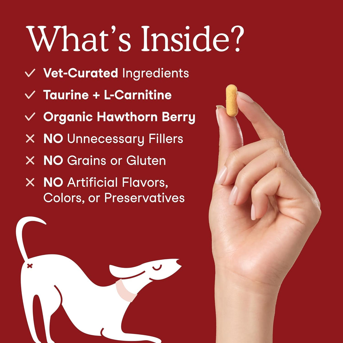Fers Pets Heart Health Bundle for Dogs & Cats
