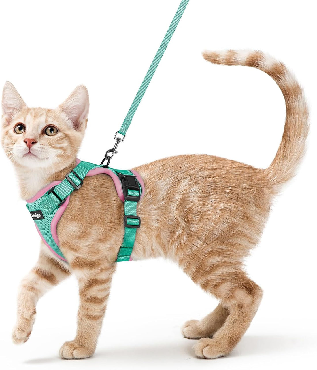 rabbitgoo Cat Harness and Leash Set, Escape Proof Vest