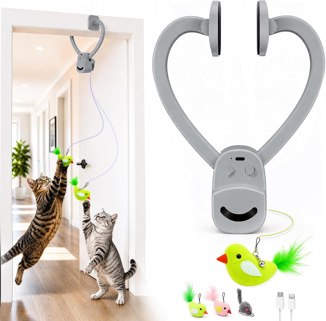 CATPICK Interactive Doorway Cat Toy