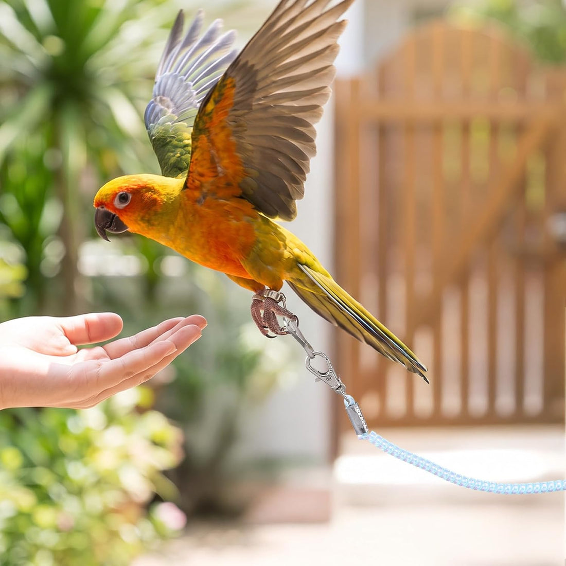 Parrot Flying Leash, Elastic Bird Harness with Foot Rings