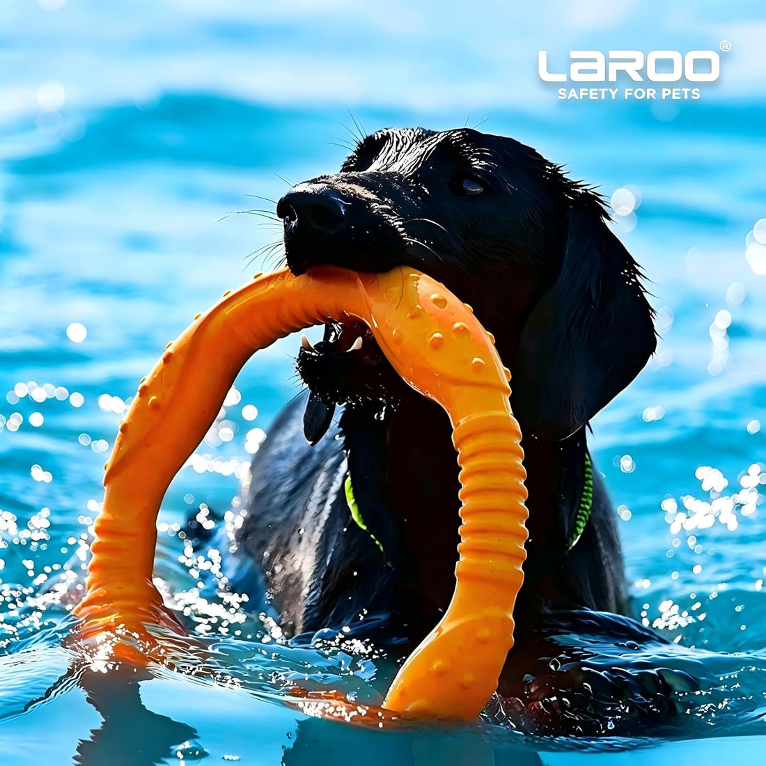 LaRoo Dog Ring Toy, Durable Soft Flying Disc for Throwing Catching