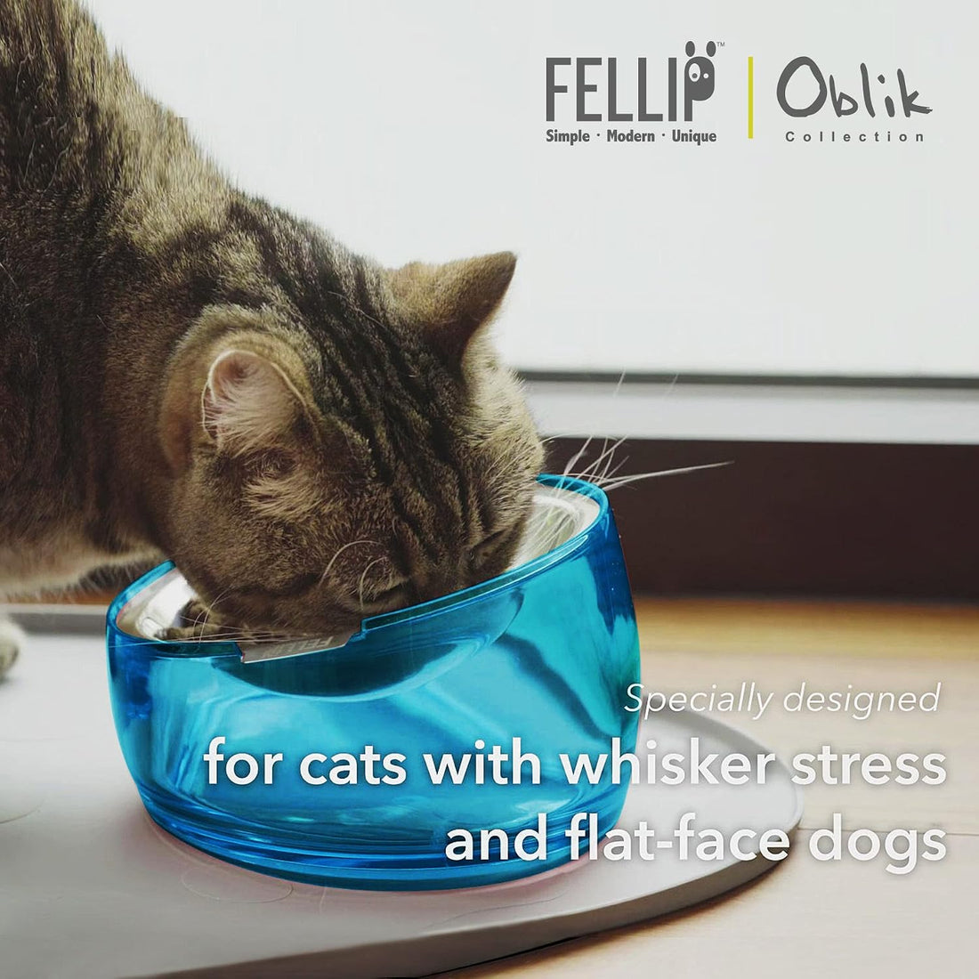 Felli Pet Oblik Whisker Fatigue Cat Food Bowl Raised Stainless Steel