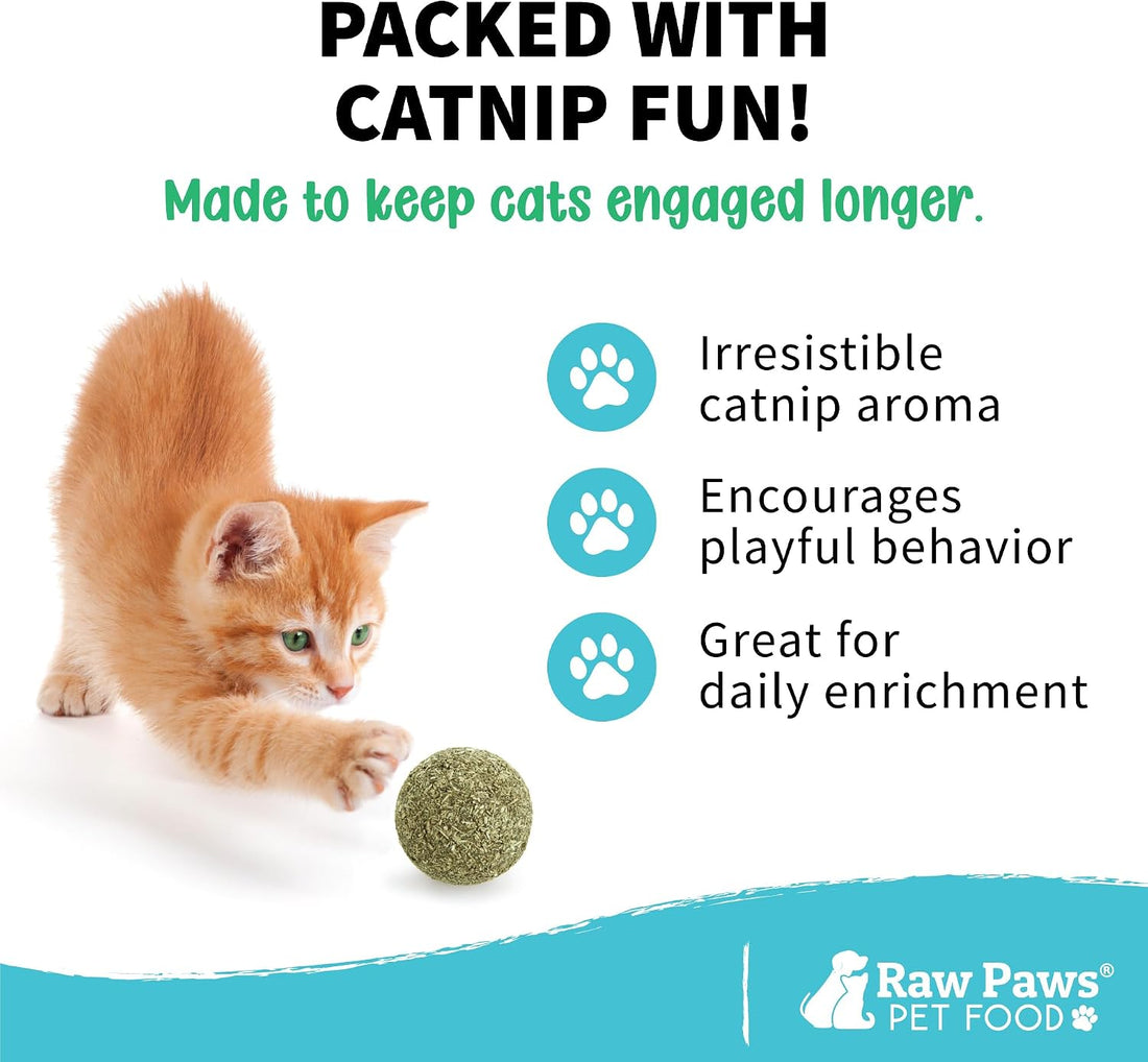 Raw Paws Catnip Balls for Cats (6-Count) - Interactive Indoor Cat Toy