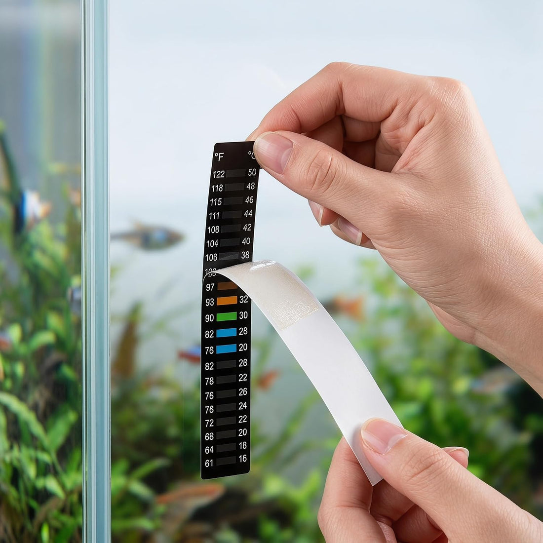 8 Pack Aquarium Thermometer Strips