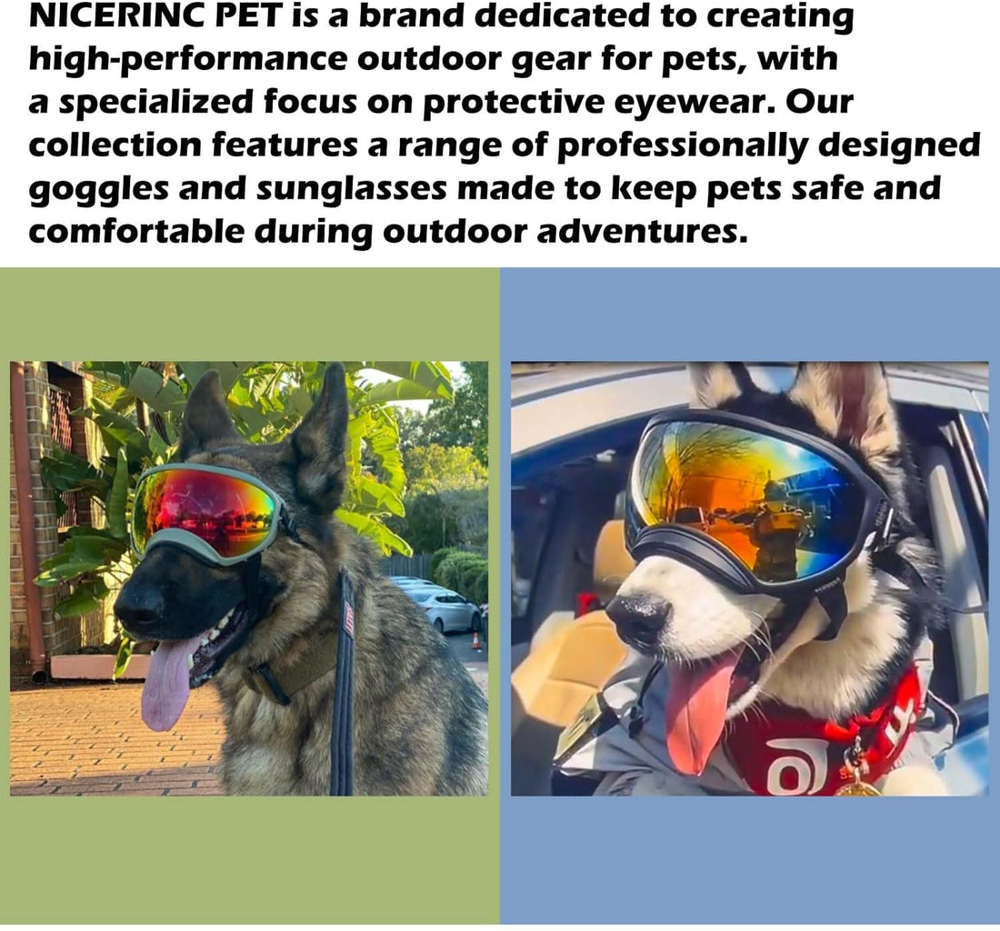 Dog Sunglasses,Doggles Anti-UV Protection