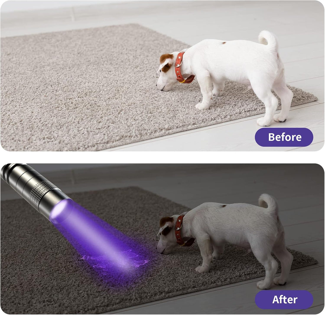 COSOOS 2 UV Black Light Flashlight