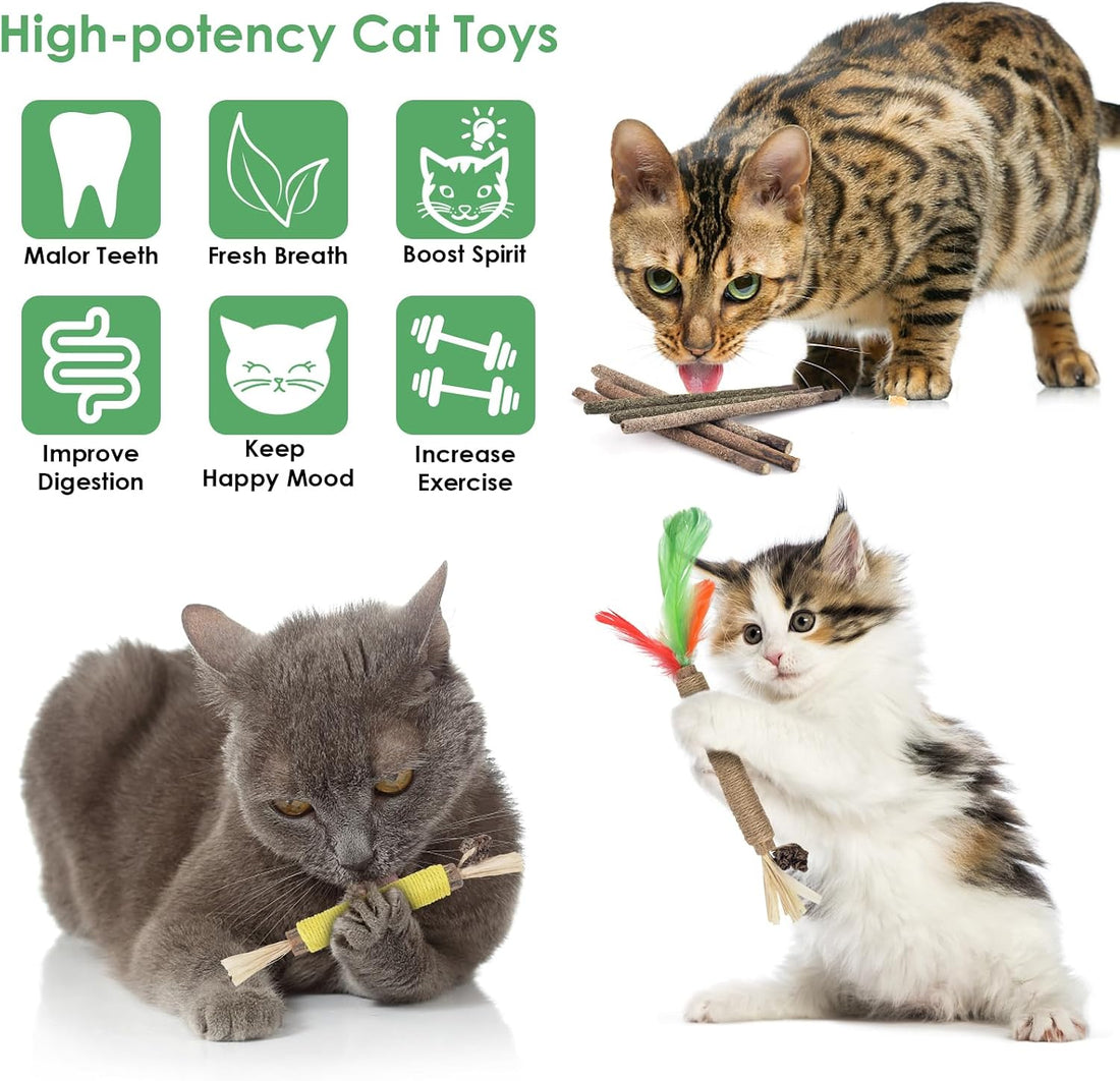 Bissap 12 PCS Silvervine Chew Sticks for Cats