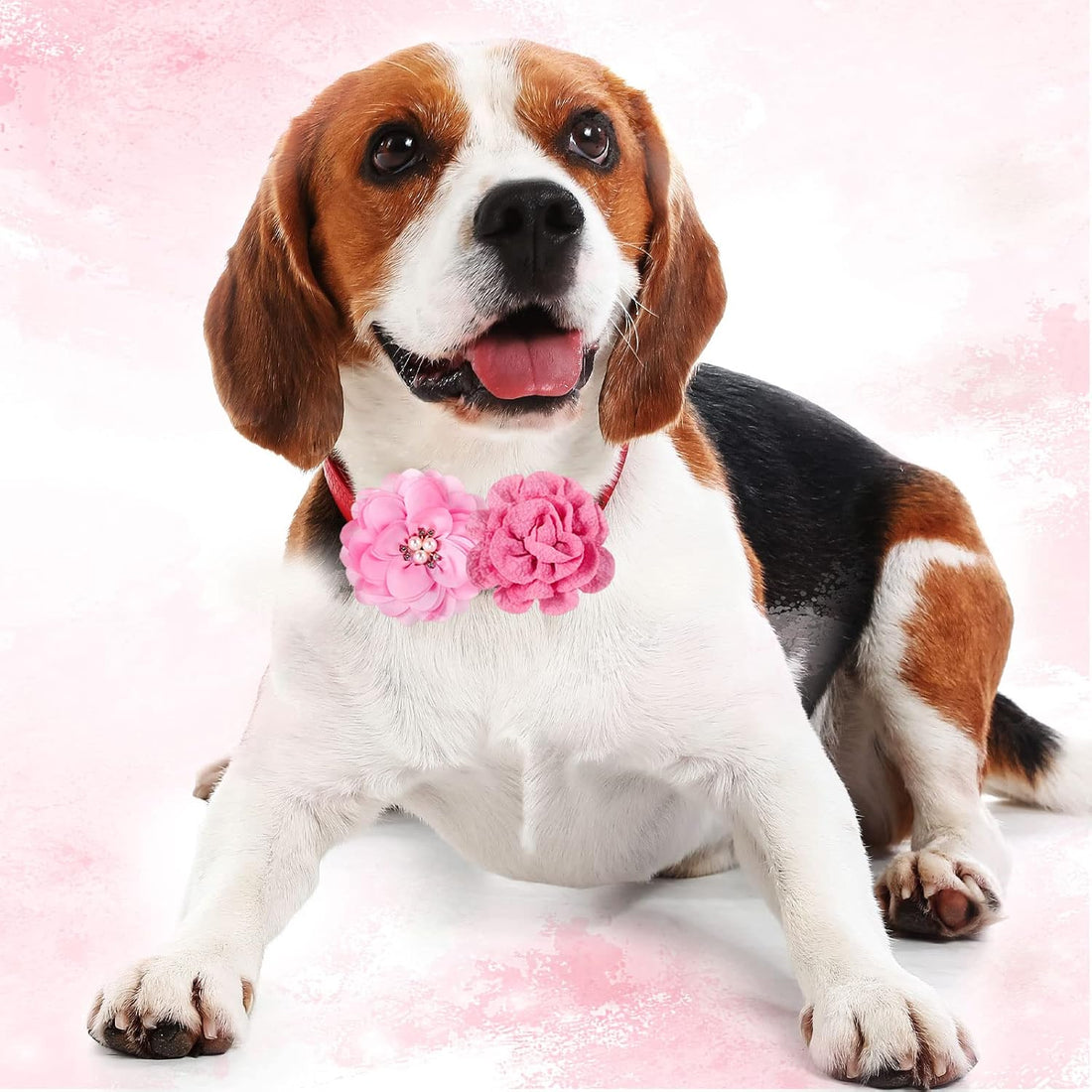 Hoteam 50 Pcs Dog Flower Collar Dog Collar Bows Pet Bow Charms Set
