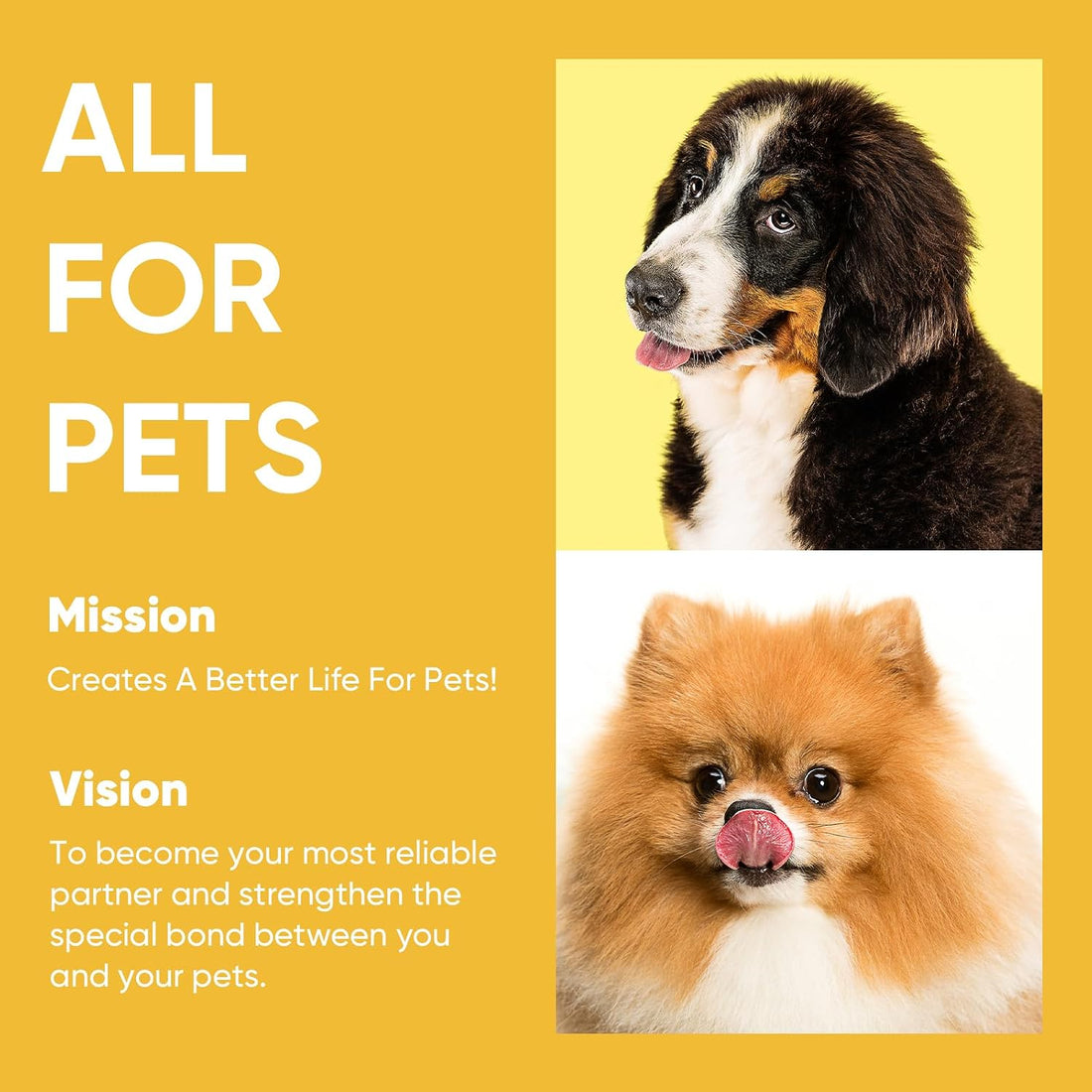 Petbobi Heavy-Duty Dog Tie-Out Cable