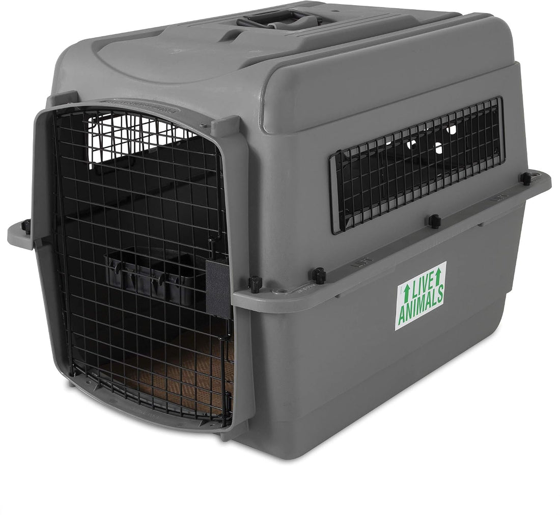 Petmate Sky Kennel Pet Carrier and Petmate 290300 Kennel Travel Kit