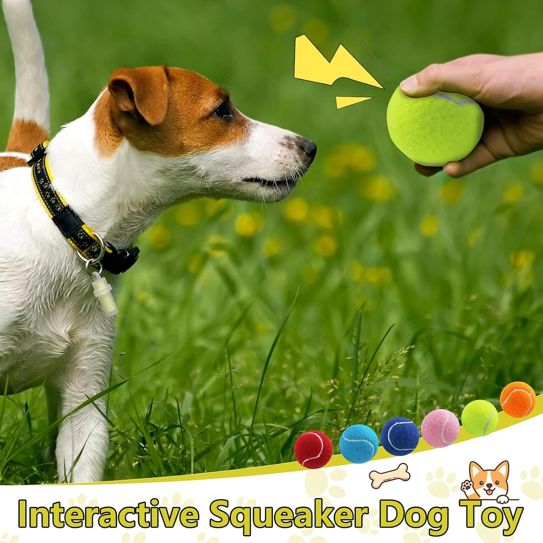 Swingers Squeaky Tennis Balls for Dogs,2.5 inch Training Tennis