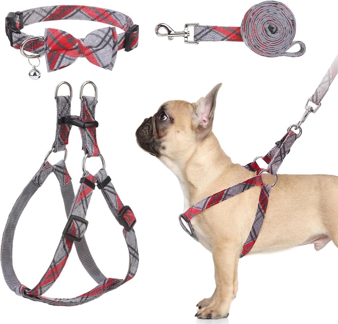 BINGPET No Pull Dog Harness Leash Collar Set,Adjustable Step