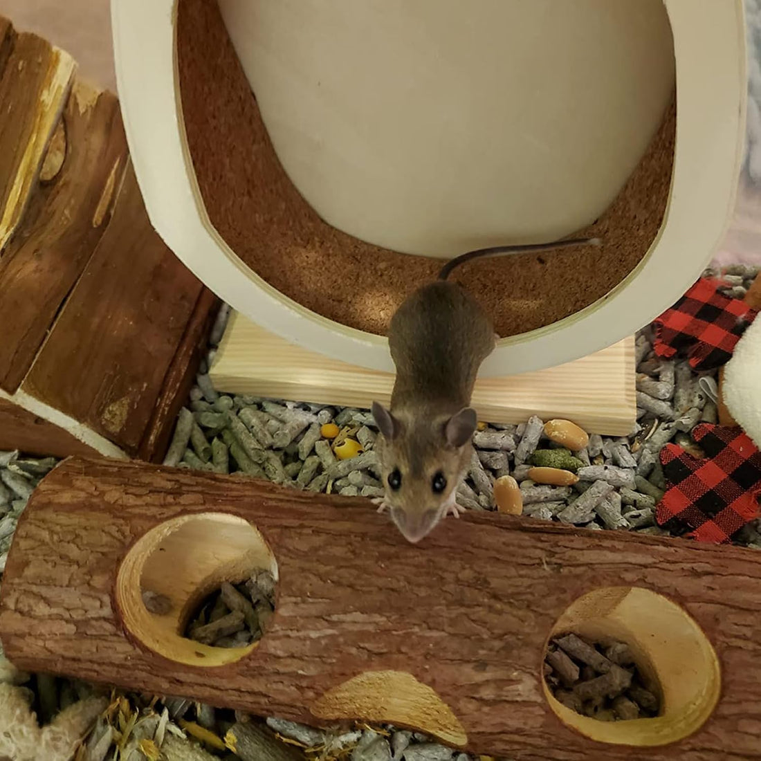 Natural Wood Tunnel Hamster Tunnel for Hamster Reptile Small Animals