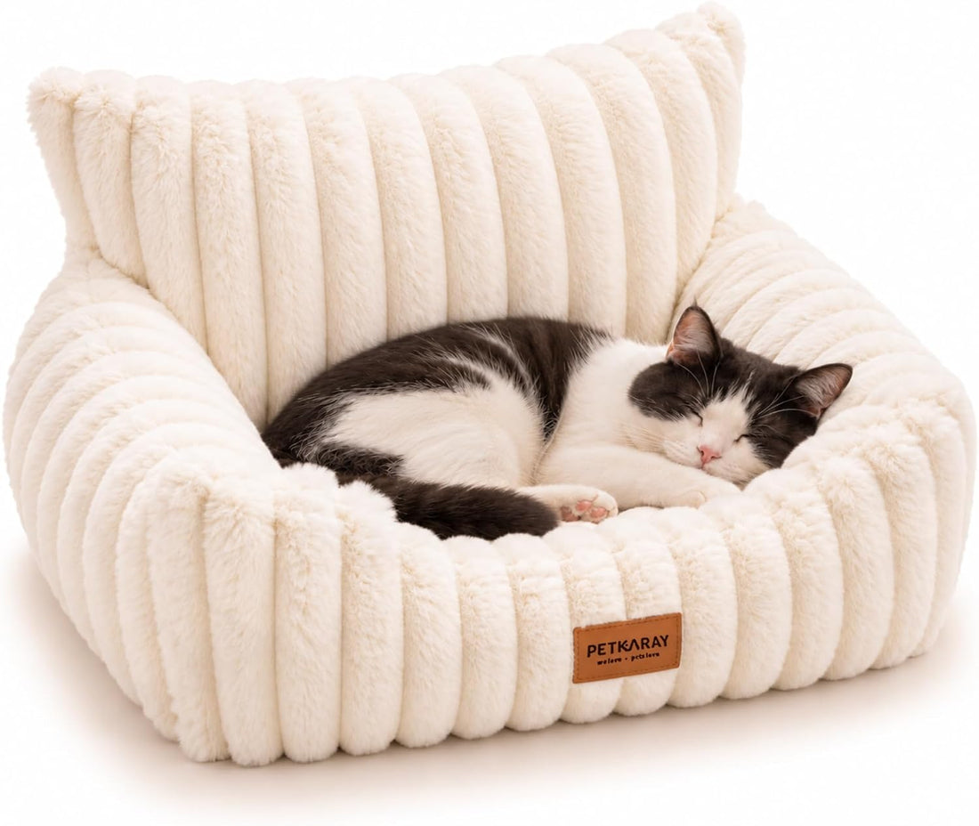 PETKARAY Cat Couch Bed, 24'' Soft Sofa for Indoor Cats