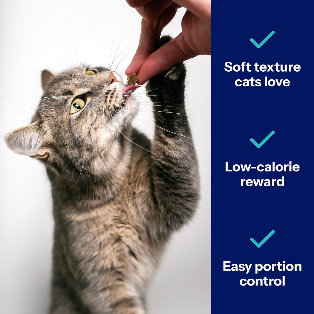 Covetrus Nutrisential Lean Treats for Cats, Low Fat Chicken Flavor
