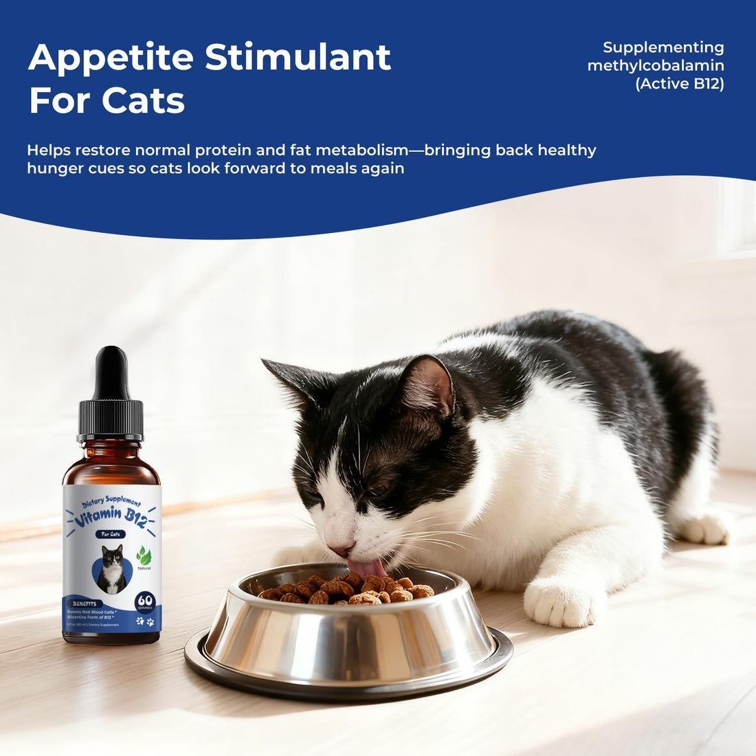 Appetite Stimulant for Cats, Liquid Vitamin B12 & Methylcobalamin