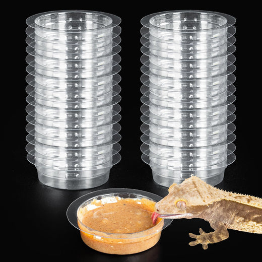 REPTIZOO 30PCS Feeding Cups for Reptile Magnetic Feeder Ledge