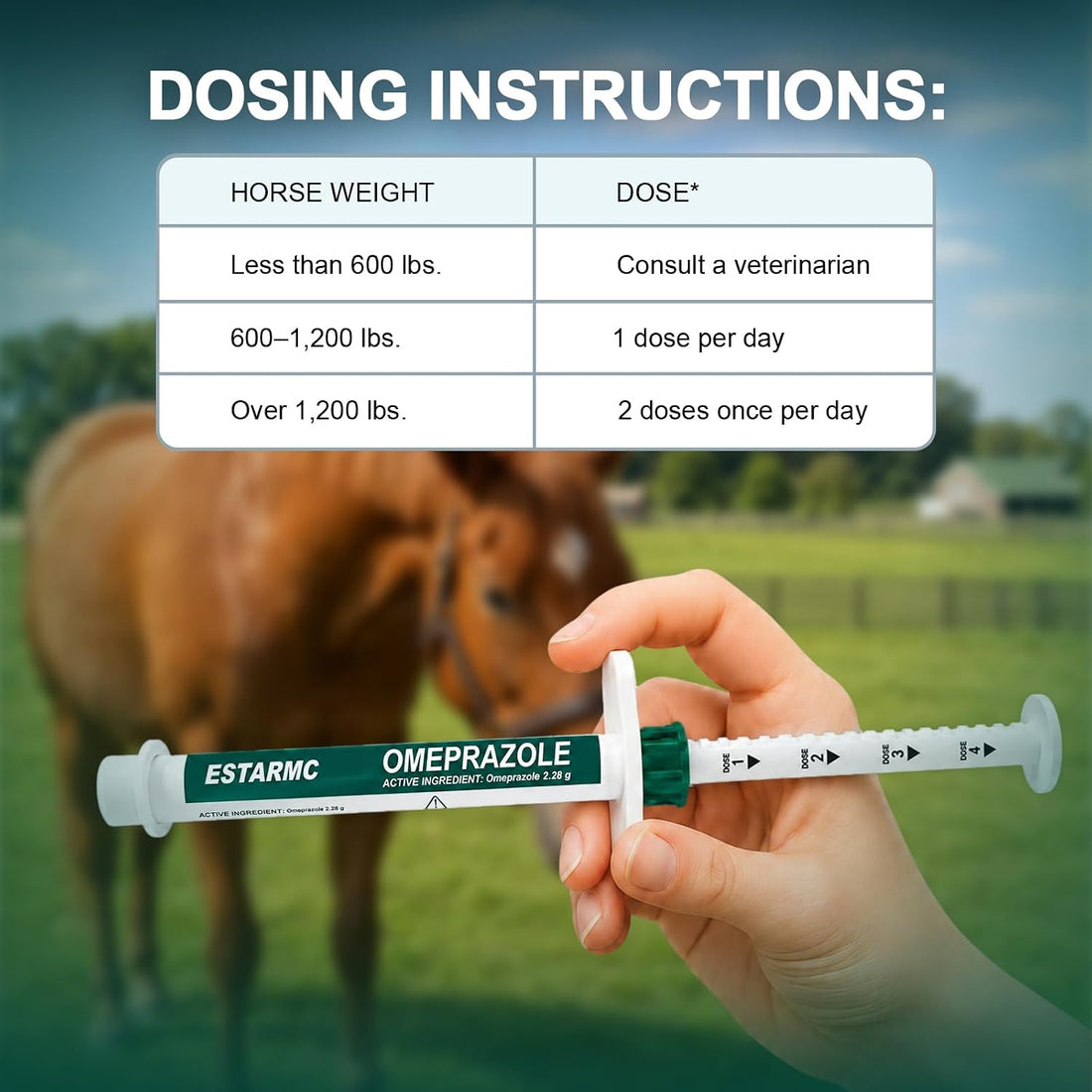 3 Pack Oral Paste Syringe for Horses,Apple Flavor